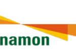 Danamon